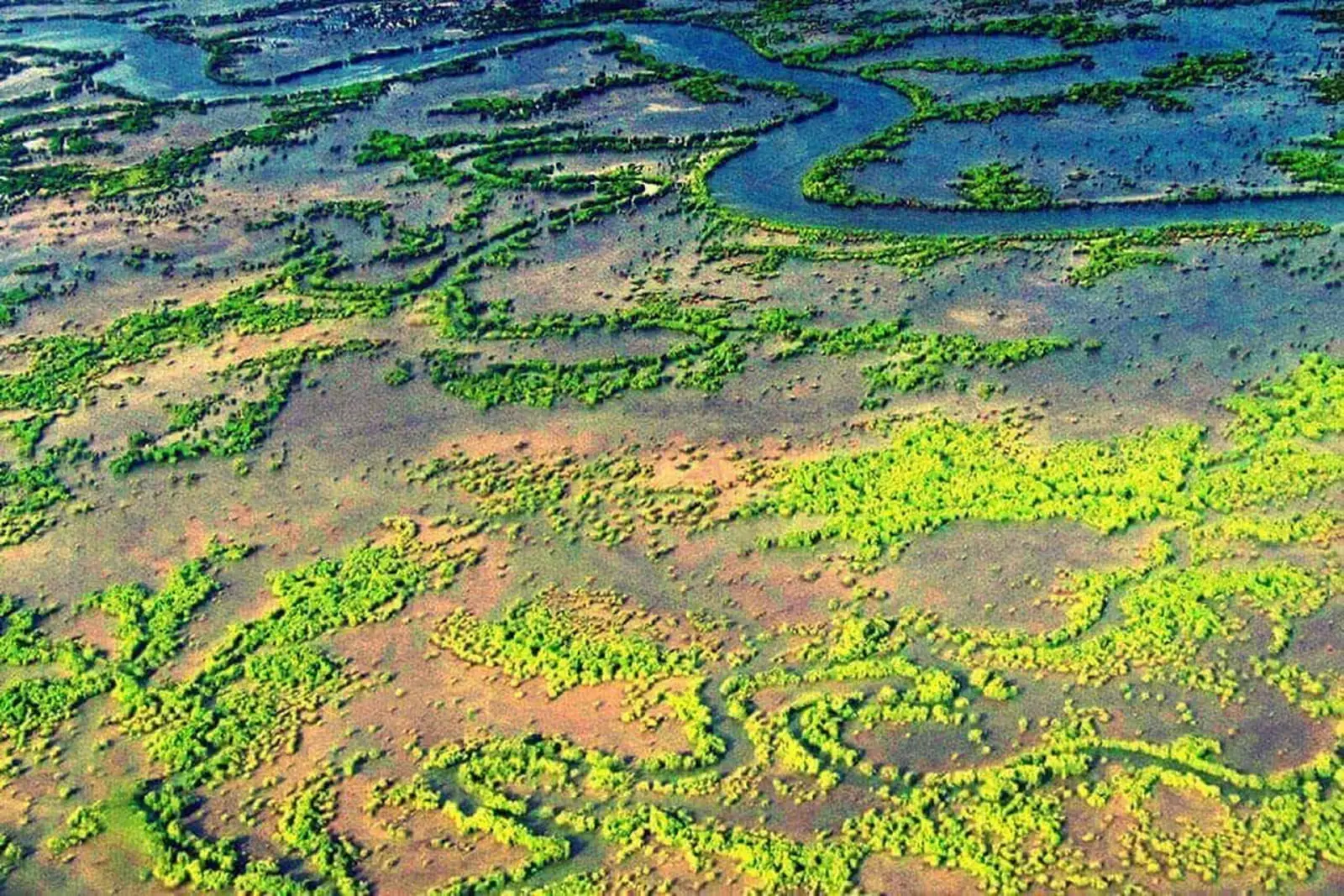 Vue aérienne de la mangrove et des bolongs de la Basse Casamance