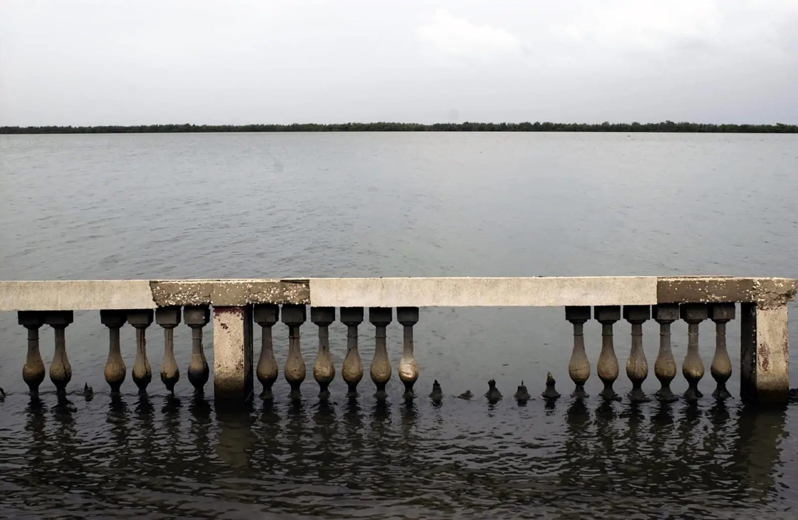 Tannes — étendues sursalées de la Basse Casamance