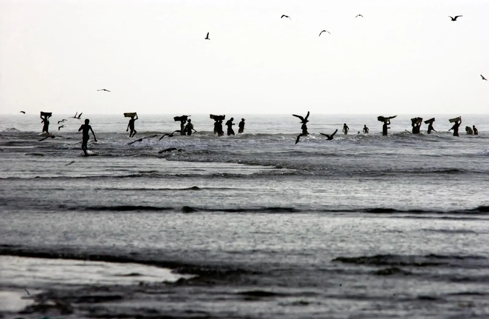 Débarquement de la pêche, va-et-vient incessant depuis les pirogues chargées de poissons jusqu'à la plage