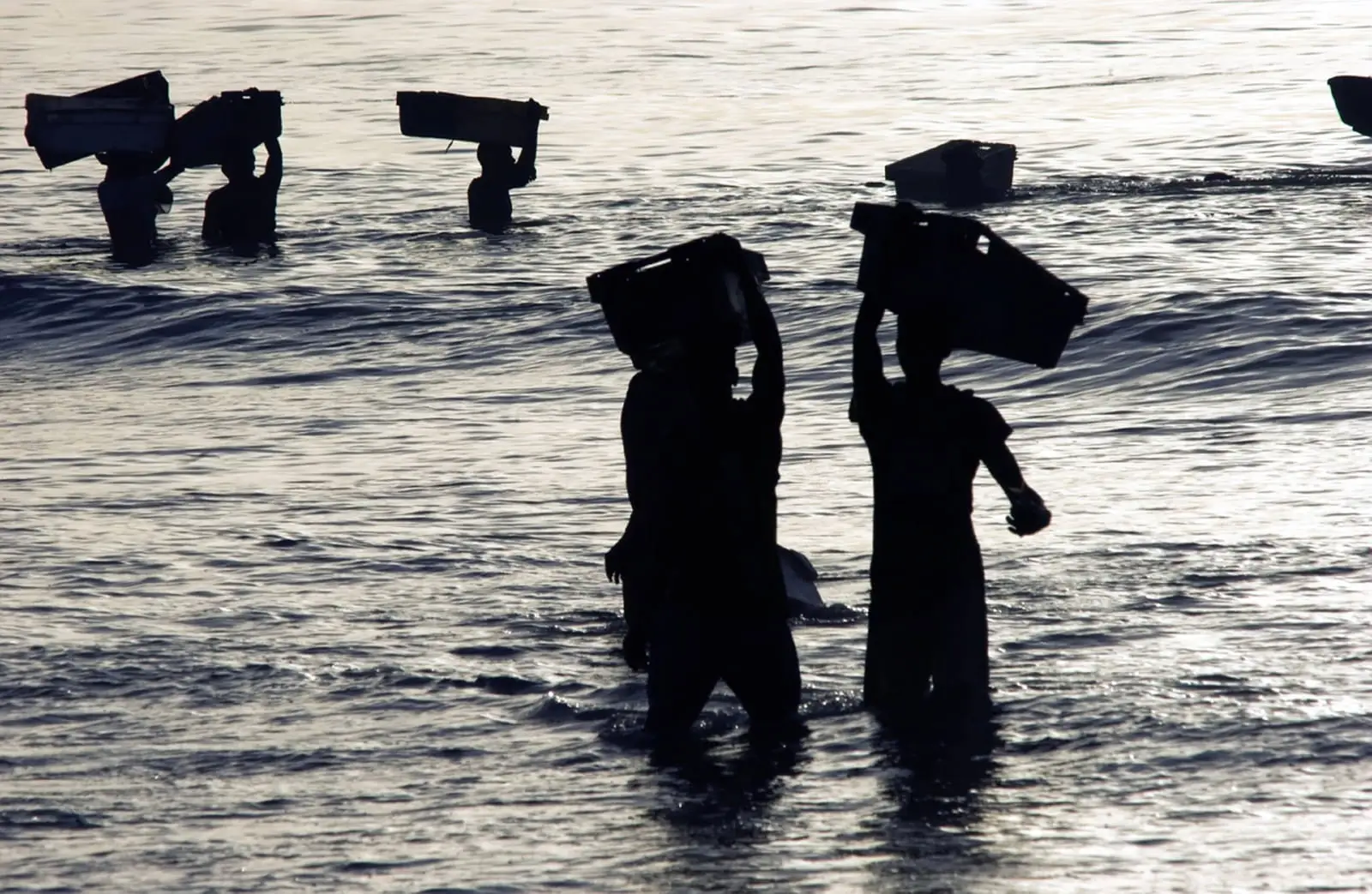 Débarquement du poisson dans le grand centre de pêche de Kafountine en Casamance