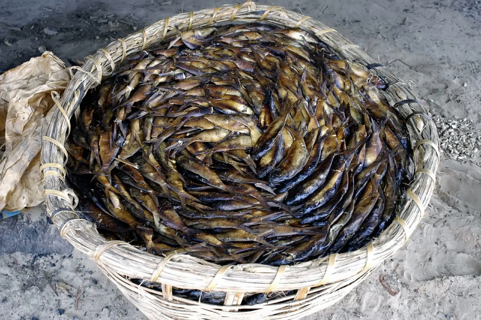 Des cobos séchés et fumés en Casamance destinés à la sous-région ouest-africaine