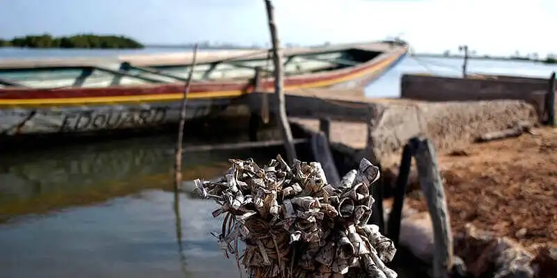 Affiniam and its bolong — Casamance excursion from Cap Skirring