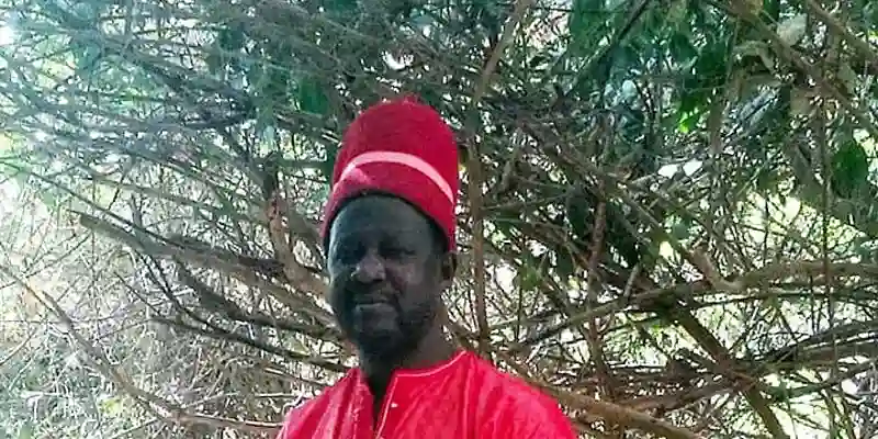 An audience with the King of Oussouye — Casamance excursion from Cap Skirring
