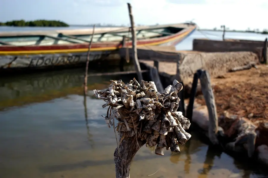 Pirogue dans les bolongs d'Affiniam, lors de l'excursion depuis Cap Skirring