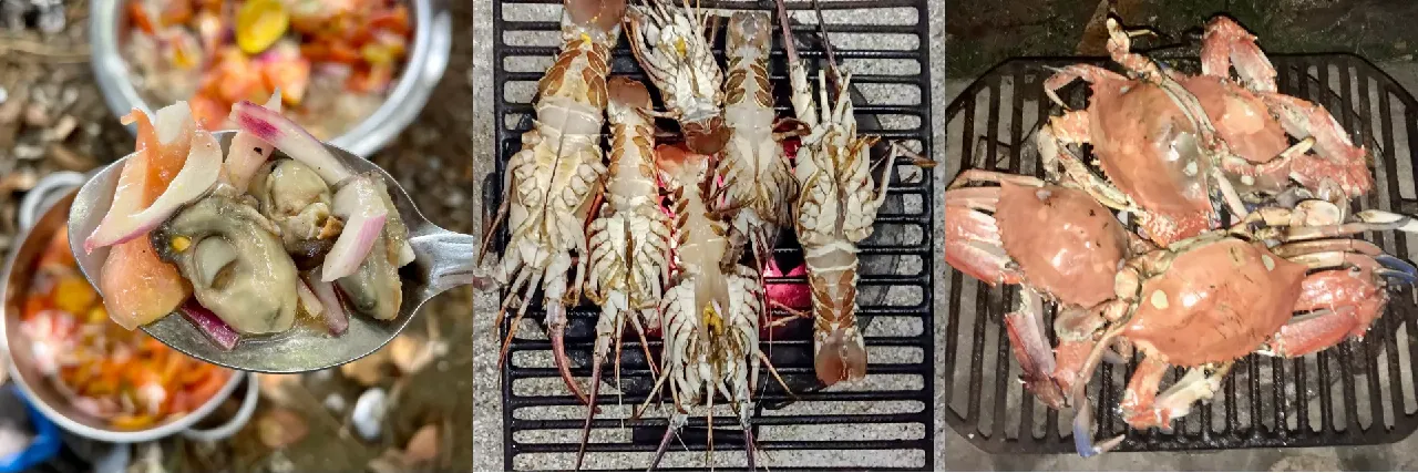Huîtres de palétuvier, langoustes et crabes grillés au pique-nique de Boudédiète