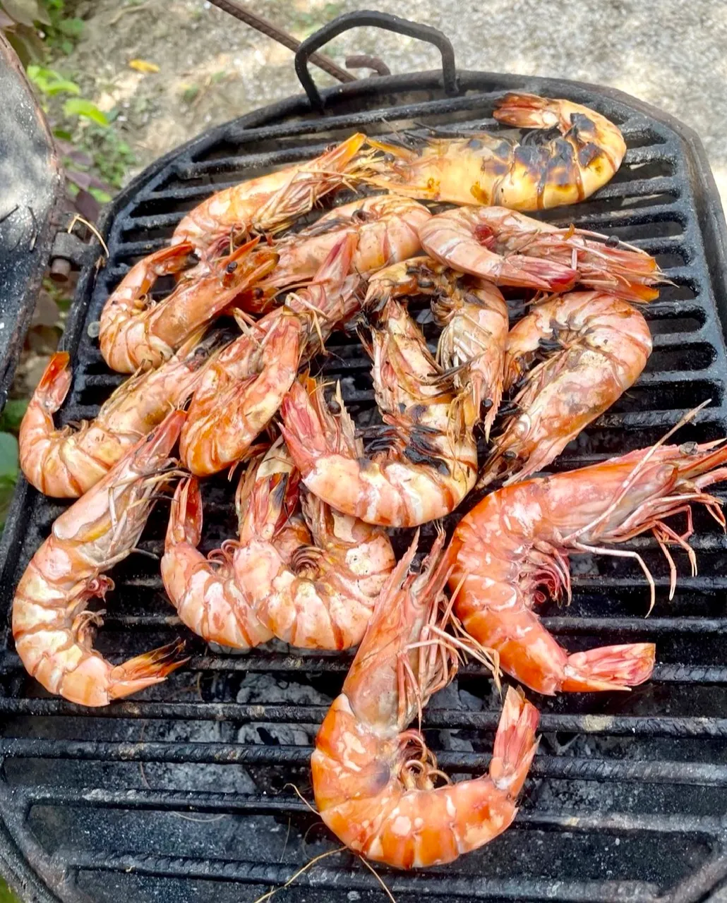 Crevettes grillées au feu de bois sur un barbecue lors de l'excursion à Essaout
