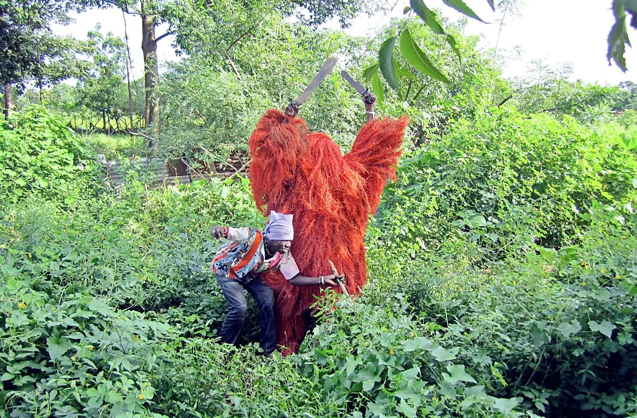 Un Kankourang, personnage masqué recouvert de fibres d'écorce rouge, accompagné d'un homme au milieu de la végétation