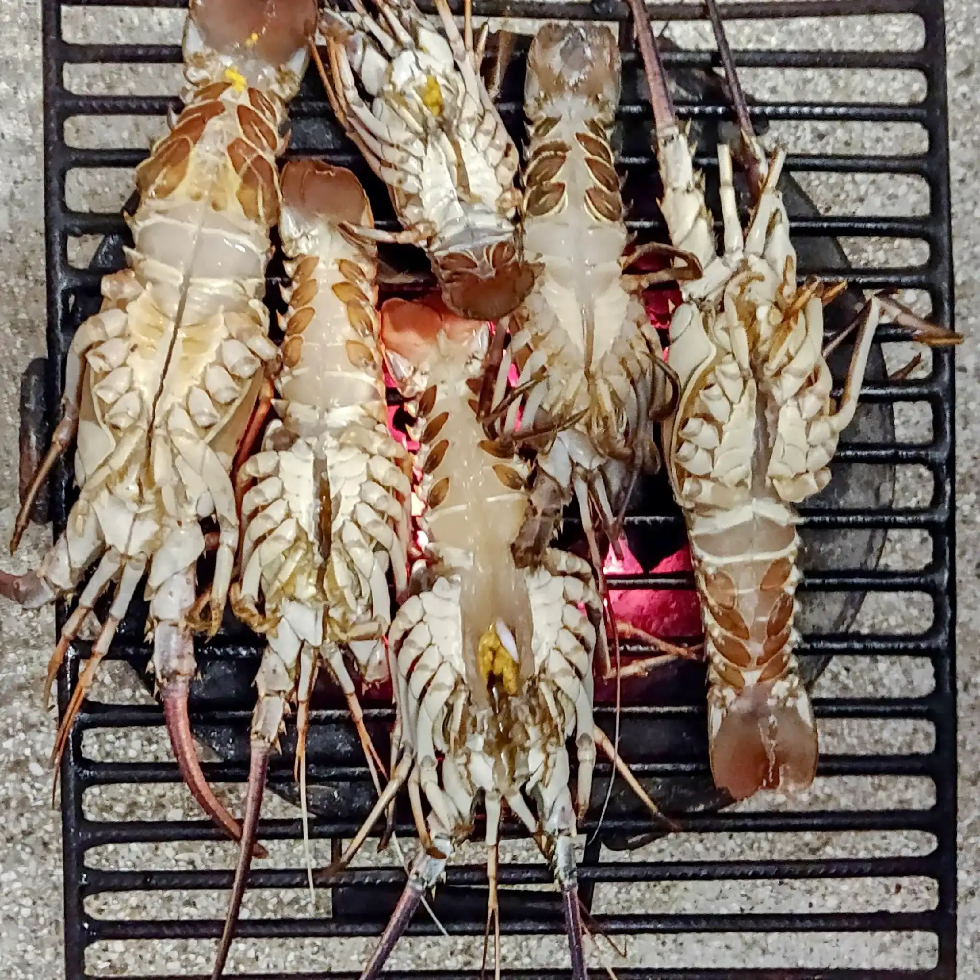 Langoustes fraîches grillées sur les braises au Papayer Écolodge, Cap Skirring