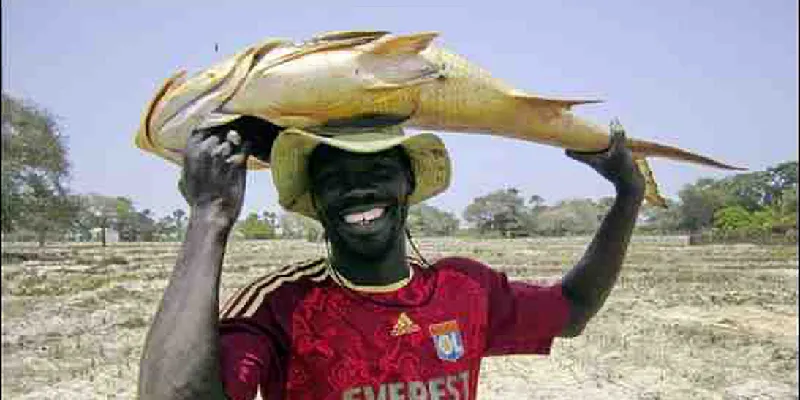 Pêcheur souriant portant un grand poisson sur la tête, en Casamance