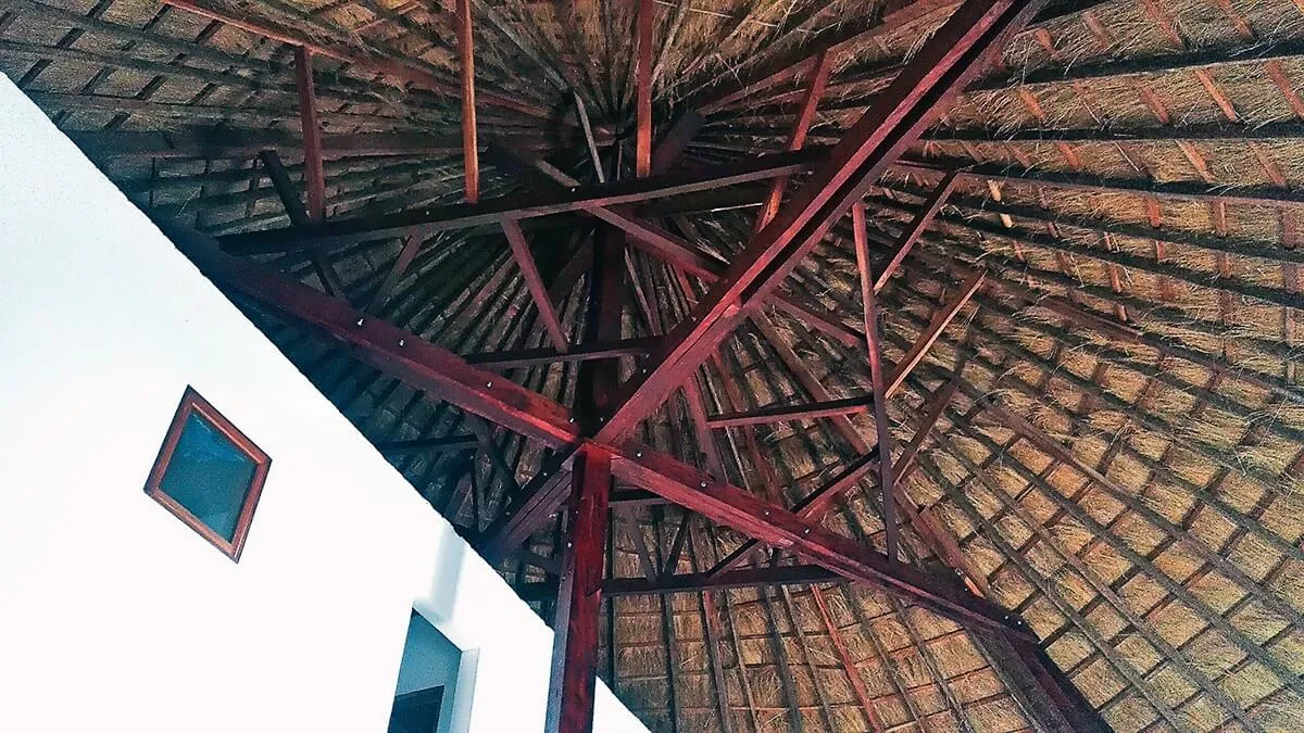 Charpente en bois et toit de chaume vus de l'intérieur d'une case