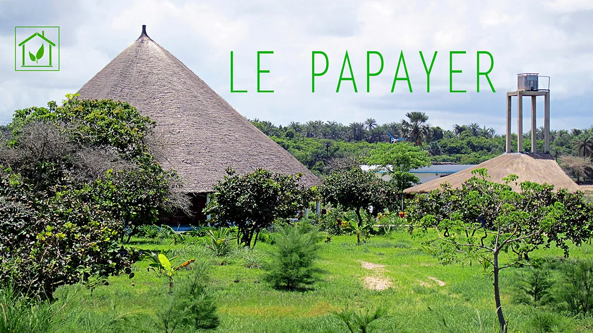Cases de chaume, fruitiers et château d'eau du Papayer Écolodge à Cap Skirring, en Casamance