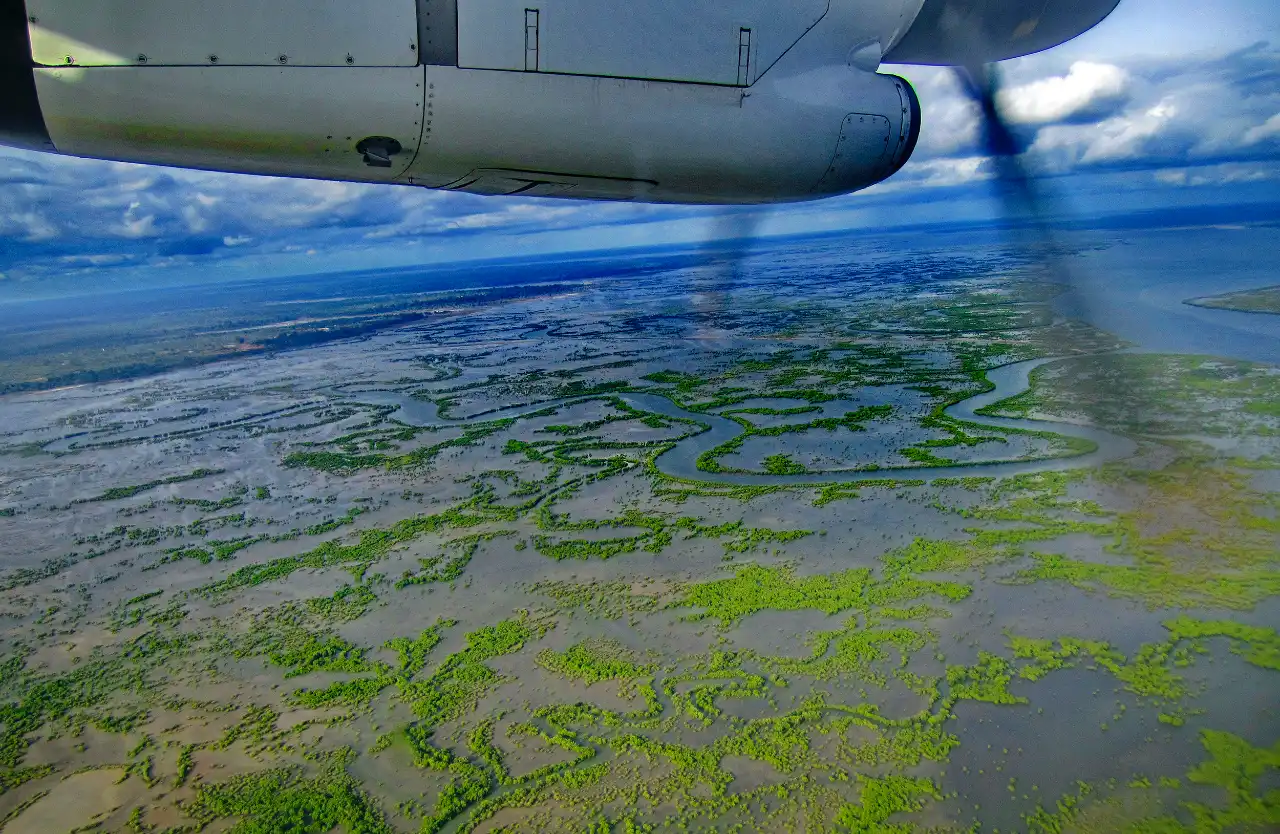 Vue aérienne de la Casamance : labyrinthe de bolongs sinueux enlaçant la mangrove émeraude