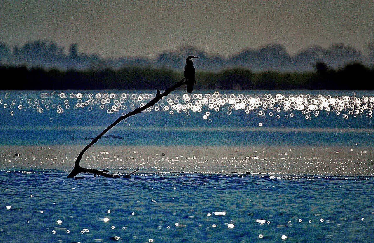 Sulla Casamance, Escursioni Casamance Hotel Il Papayer Ecolodge Hotel Cap Skirring Senegal