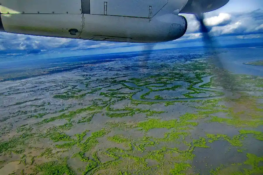 Vue aérienne de la Casamance depuis un avion : le labyrinthe des bolongs et de la mangrove