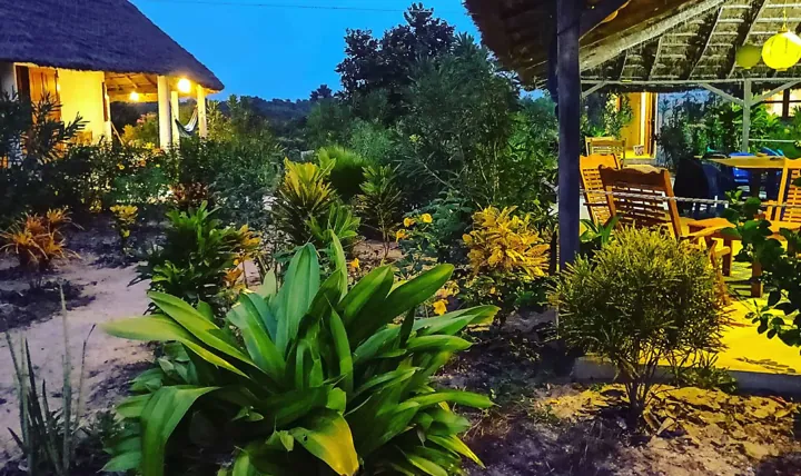 Paillotes à toit de chaume et jardin du Papayer Écolodge, en soirée