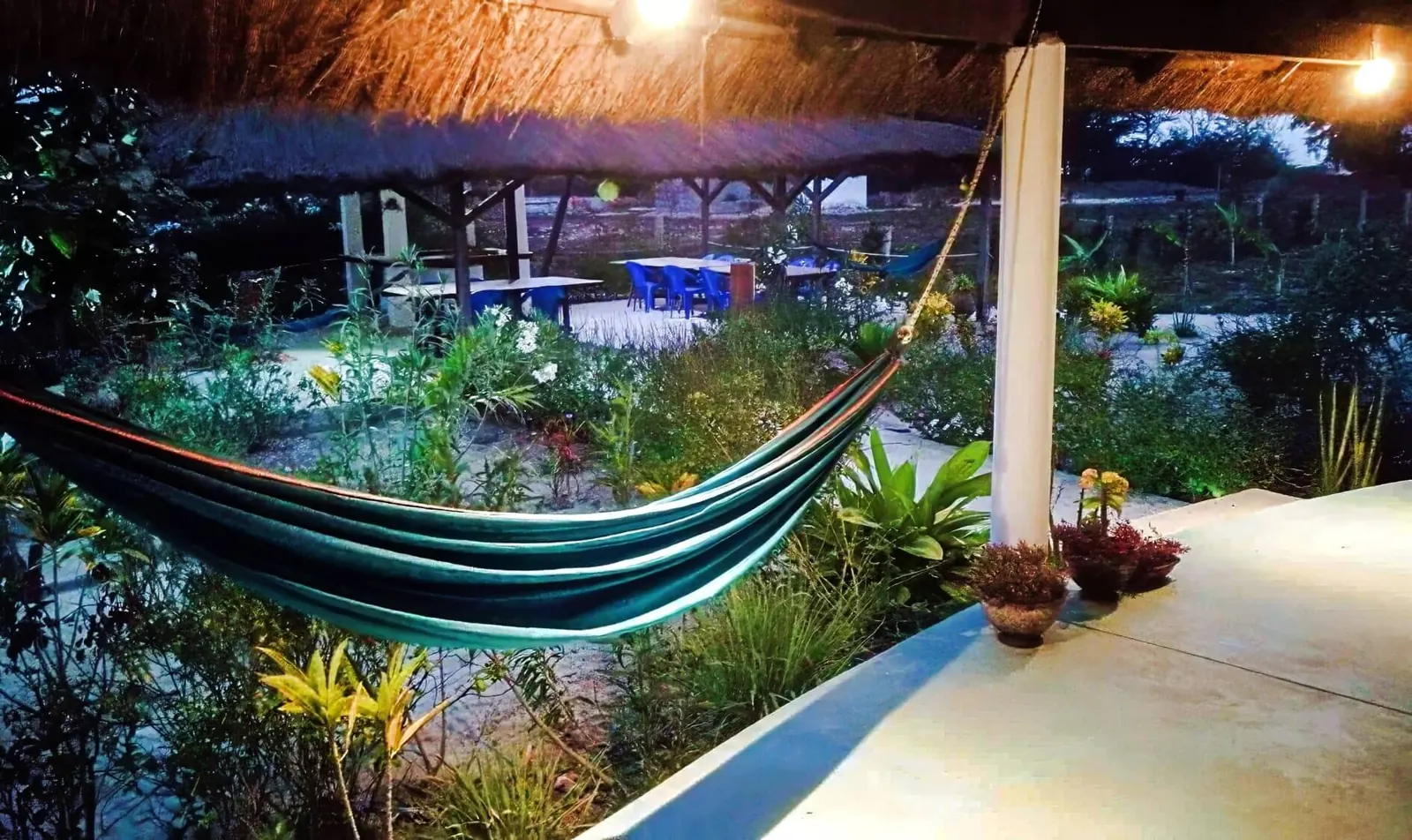 Hamac sur la terrasse et jardin tropical du Papayer Écolodge, en soirée